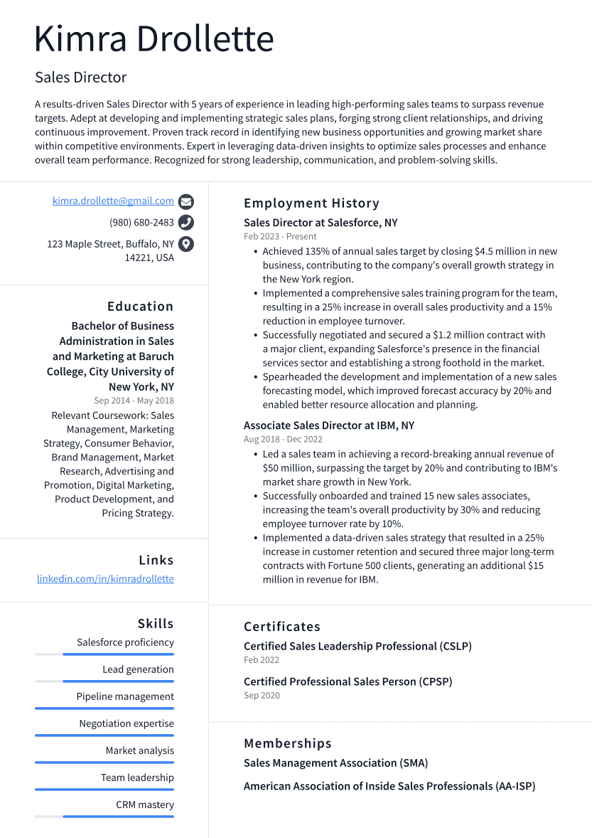 Sales Director Resume Example