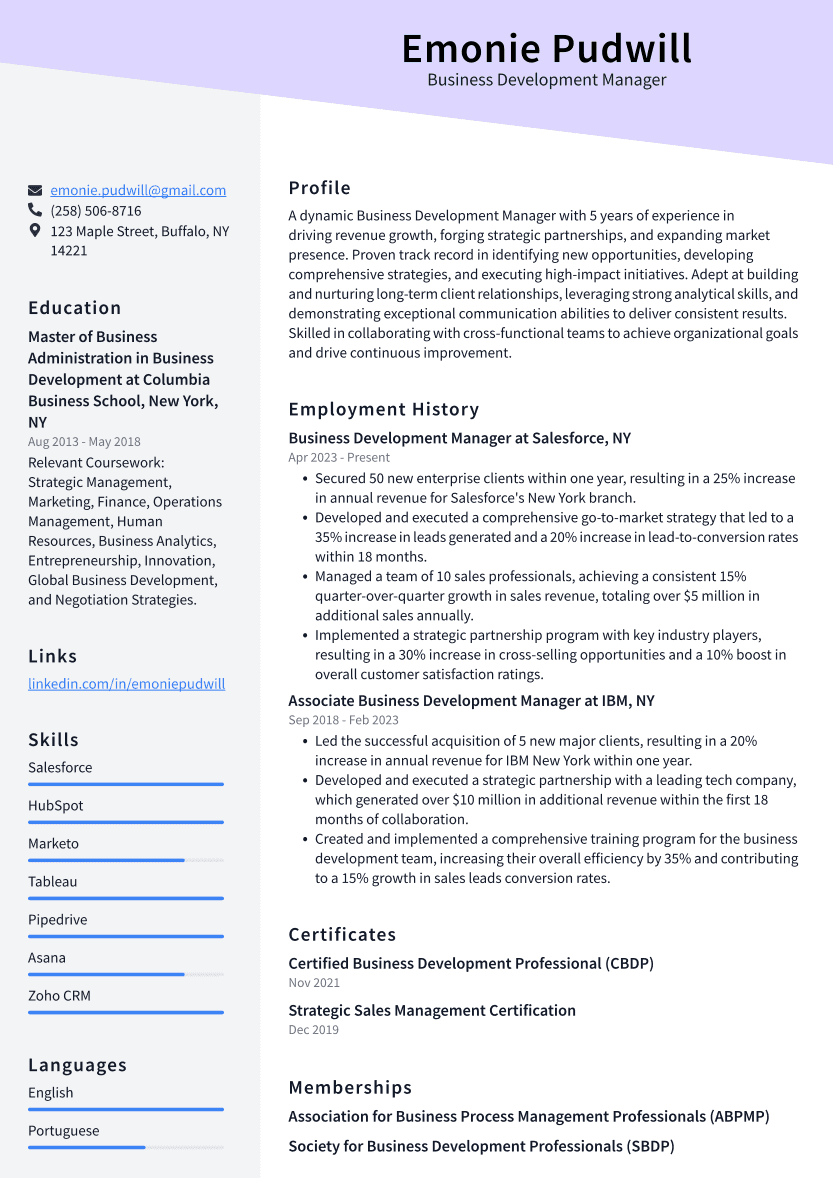 Business Development Manager Resume Example