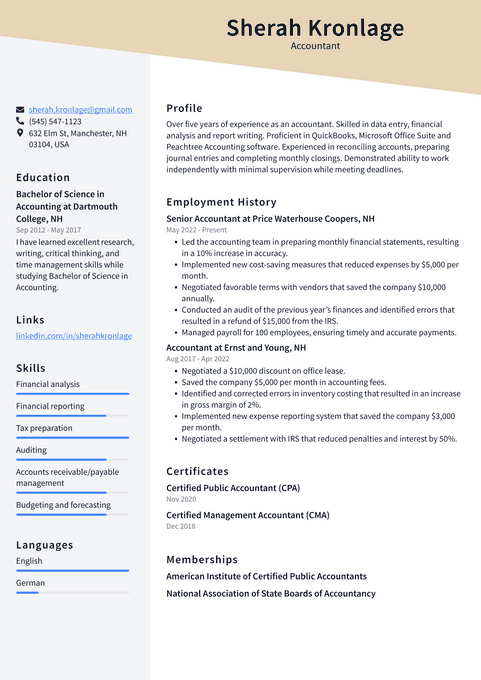 Attractive resume template preview